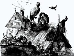 Tarinoiden katolla pesivä haikara, Kansan Ystävä 1877