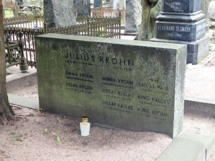 Vanha alue, 15. kortteli, 22, rivi, 1. hauta Julius Krohnin hauta Hietaniemessä